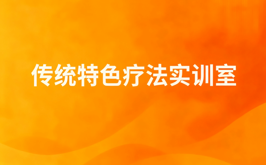 传统特色疗法实训室